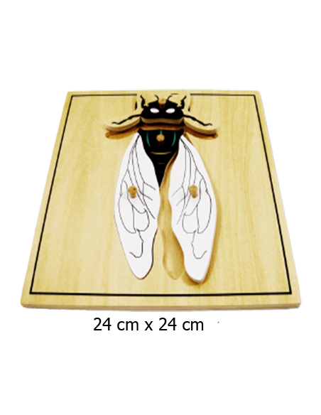 Fly Puzzle Fly Puzzle