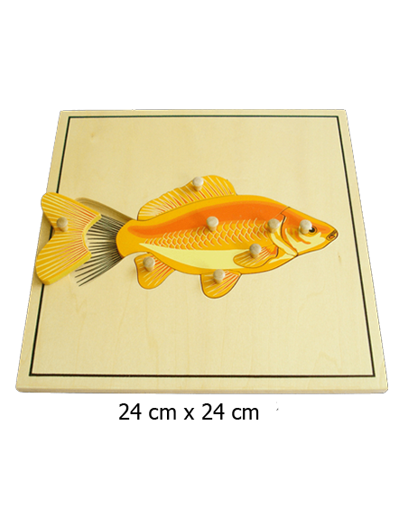 Fish Puzzle Skeleton